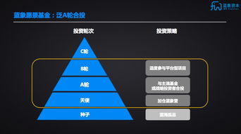 藍象資本聯(lián)合芥末堆成立藍象愿景基金，聚焦A輪實業(yè)投資